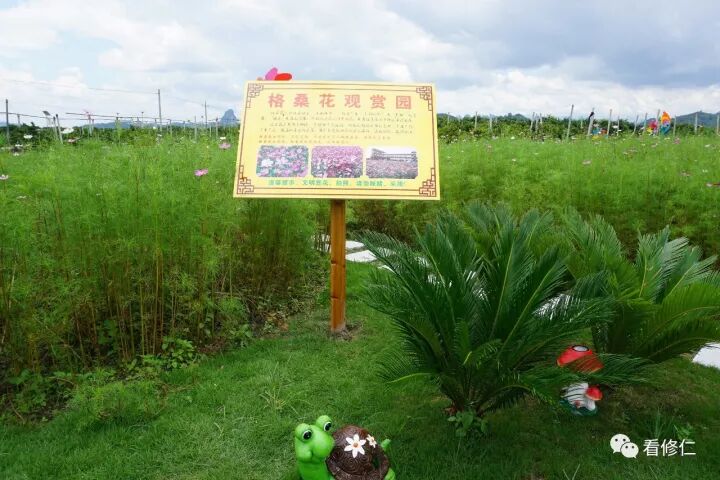 荔浦县修仁柘村，一个比城市还美的乡村！804 / 作者:浦城小瓜 / 帖子ID:241083