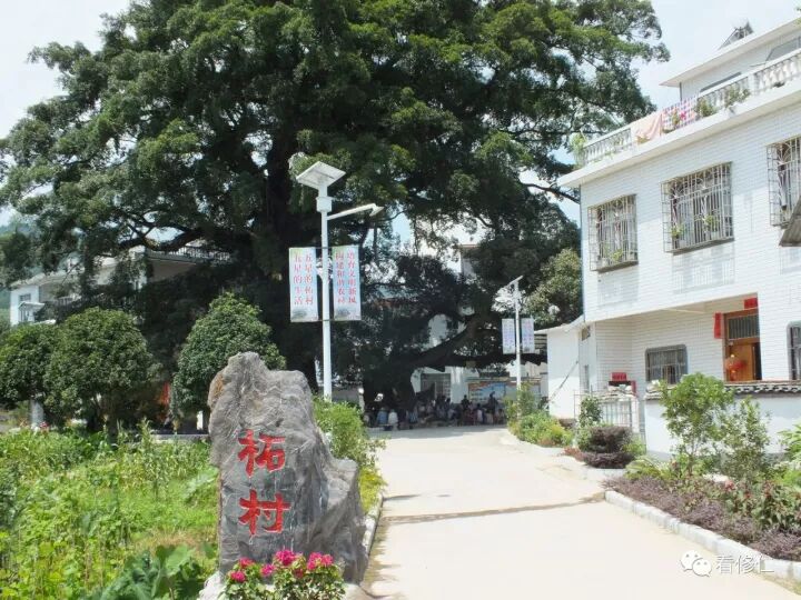 荔浦县修仁柘村，一个比城市还美的乡村！306 / 作者:浦城小瓜 / 帖子ID:241083