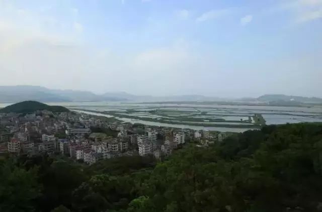 点击查看大图