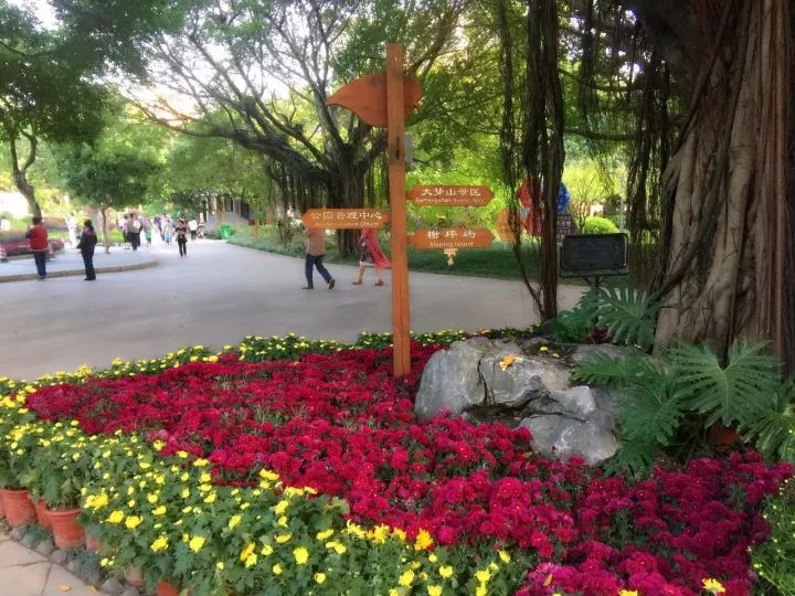 点击查看大图