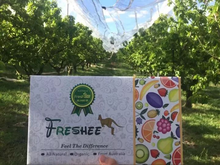 重大利好！澳大利亚果蔬输华条件放宽？！72小时直邮中国，澳洲芒果，车厘子，奇异果约吗…… - 22