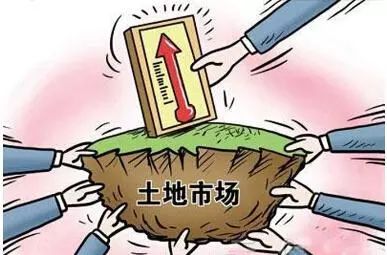 点击查看大图