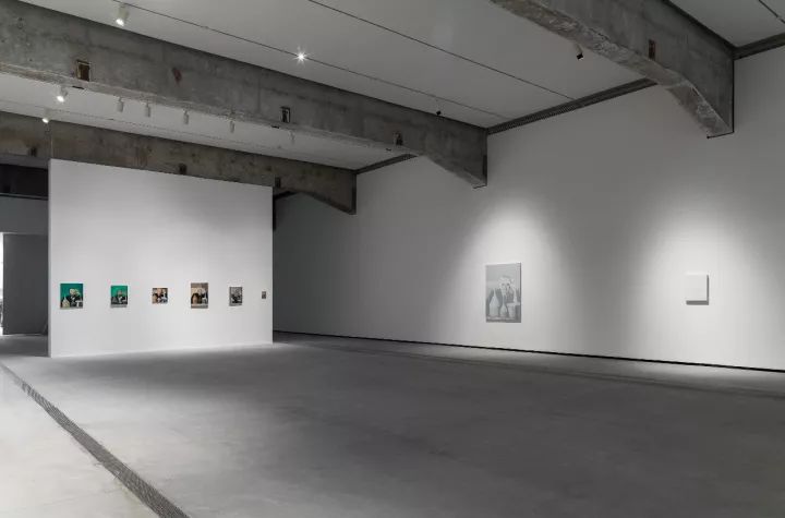 【现场】“管勇—介质空间”展览开幕