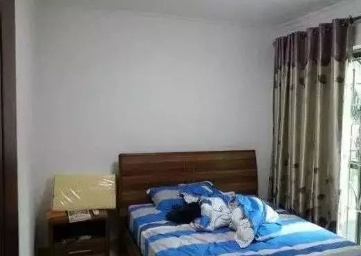 点击查看大图