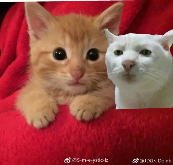 LPL转会总结：大世将临！少年天才齐聚