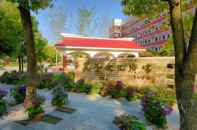 点击查看大图