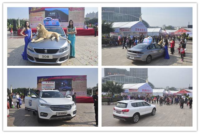 玉林年末车展圆满落幕 三天累计售车903