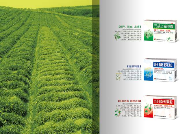 澳交所将迎首家中药股 荣裕医药发力2千万IPO - 9
