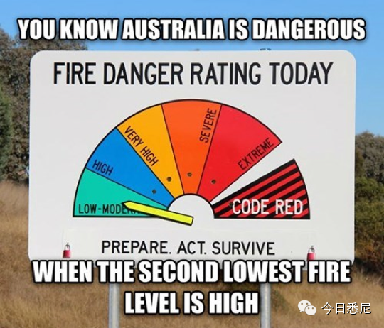 新州今日高温超40度!澳史上最热最易爆发山火酷夏来袭! - 27
