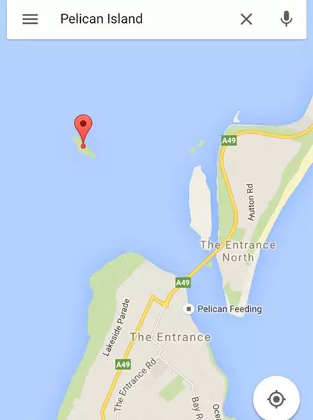 东北老汉悉尼岩钓溺亡 同乡称妻女正紧急赴澳 - 19
