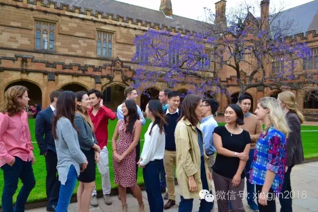 悉尼大学蓝楹花:那些你所不知道的故事 - 5