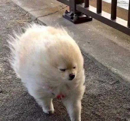 今晨气温降至最低点冷空气和大风吹拂影响经过一天一夜昨天日照最高温