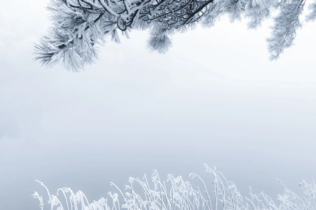 动态雪花背景冬季二十四节气图文模板 样式模板素材 135编辑器
