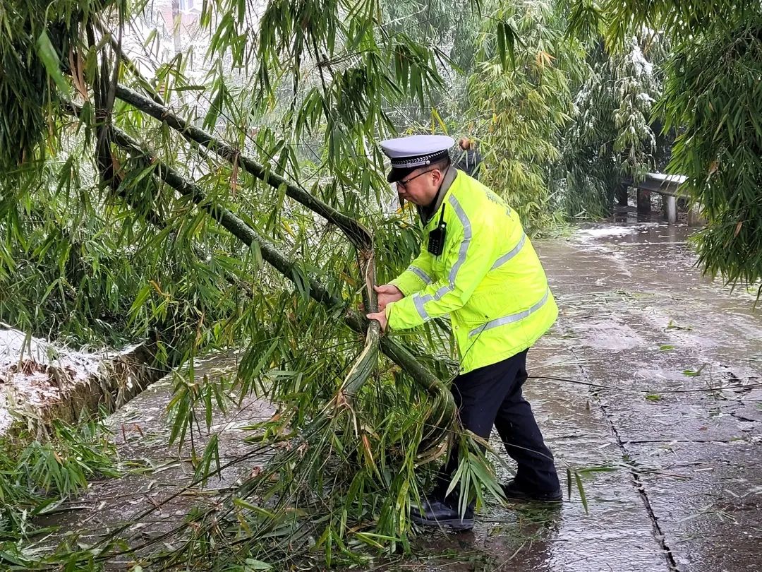 x061縣道九池桐花村段道旁樹枝被積雪壓斷,造成交通中斷,民警立即採取