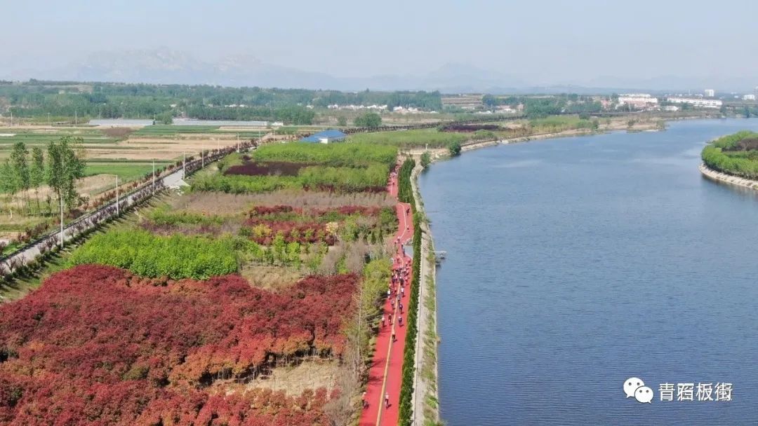 感知日照奔赴陽光海岸相擁山海風情