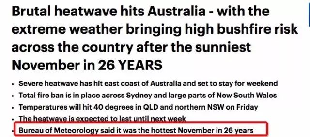 新州今日高温超40度!澳史上最热最易爆发山火酷夏来袭! - 13