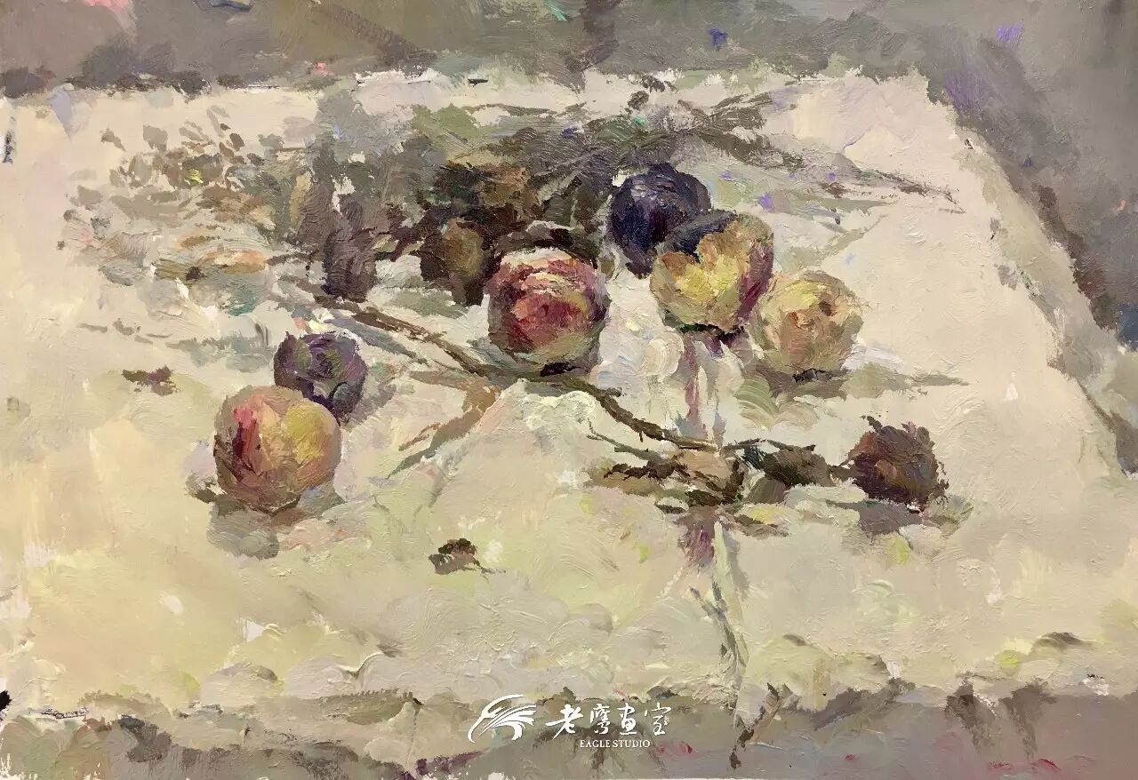 老鹰画室金鹰班色彩作品