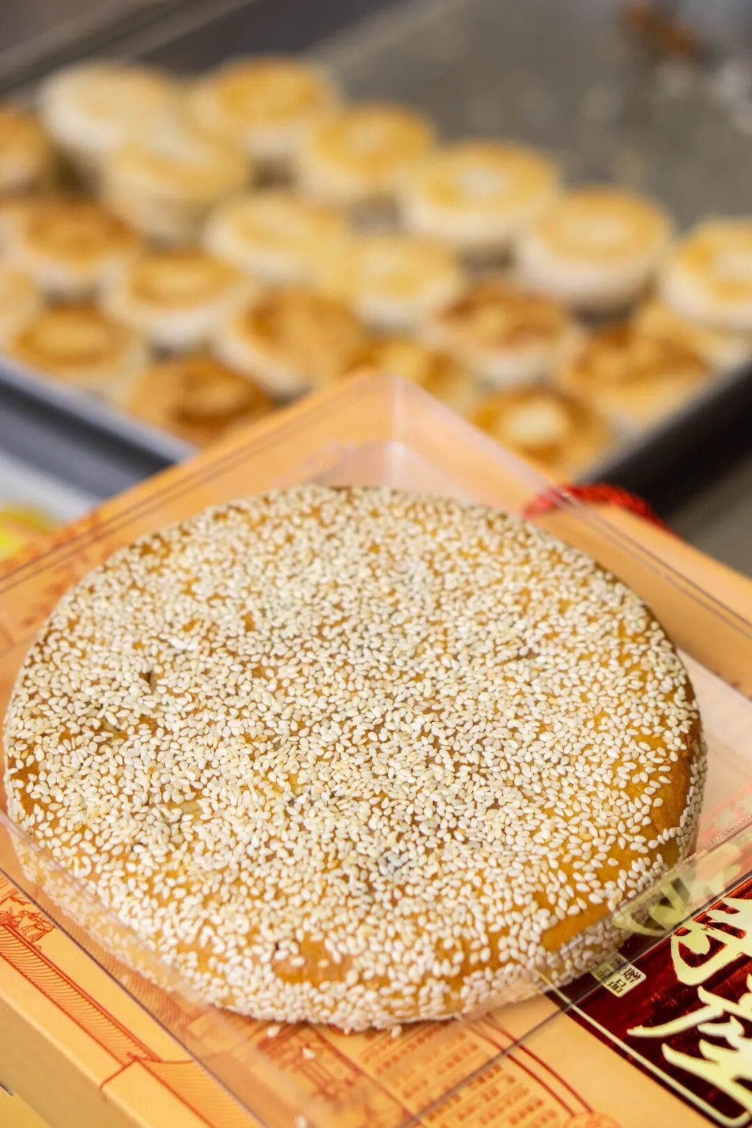 过年最爱这家十几年的糕点店是无数嘉兴人的儿时回忆我不允许你没吃过