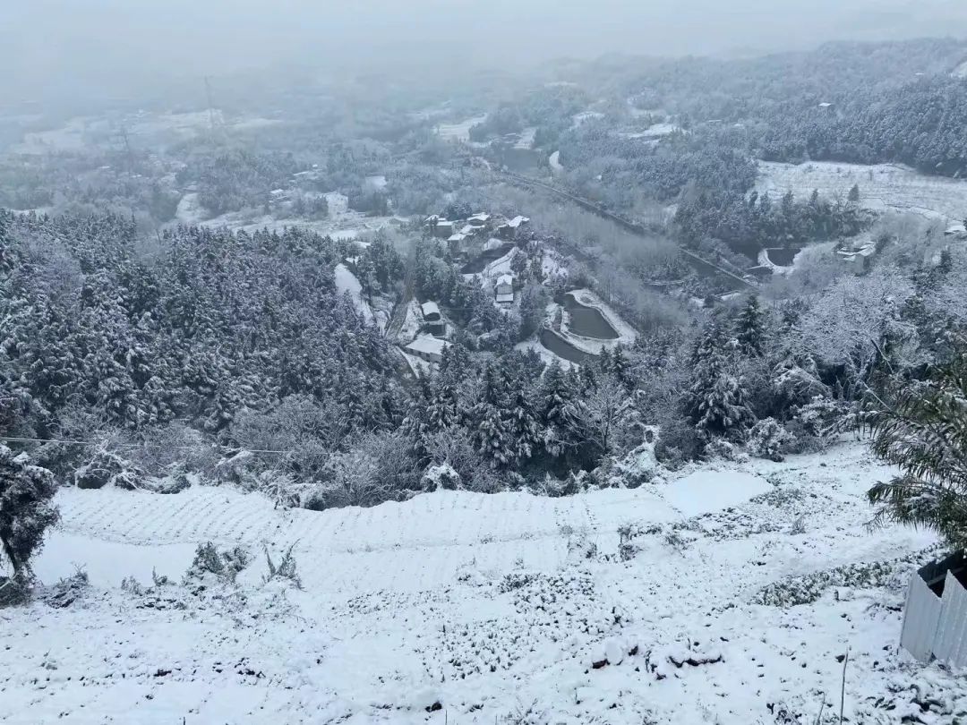 万州大垭口雪景图片