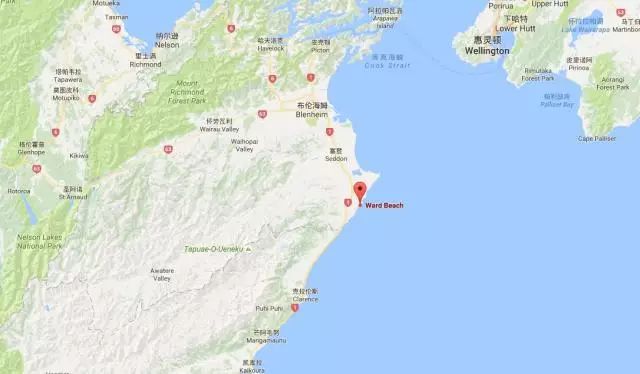 新西兰震后第2天 受灾最重的凯库拉画风特别 - 30