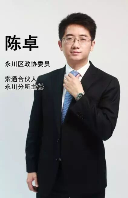 政府依法行政,园区招商建设的建议""1987年出生的陈卓系索通团委书记