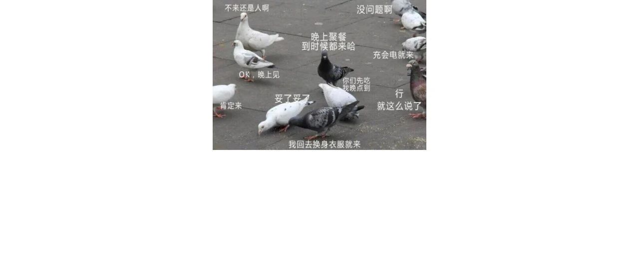2020年秋季135编辑器城市面基会|新媒体线下面基会（10城联动）