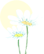 花朵.png