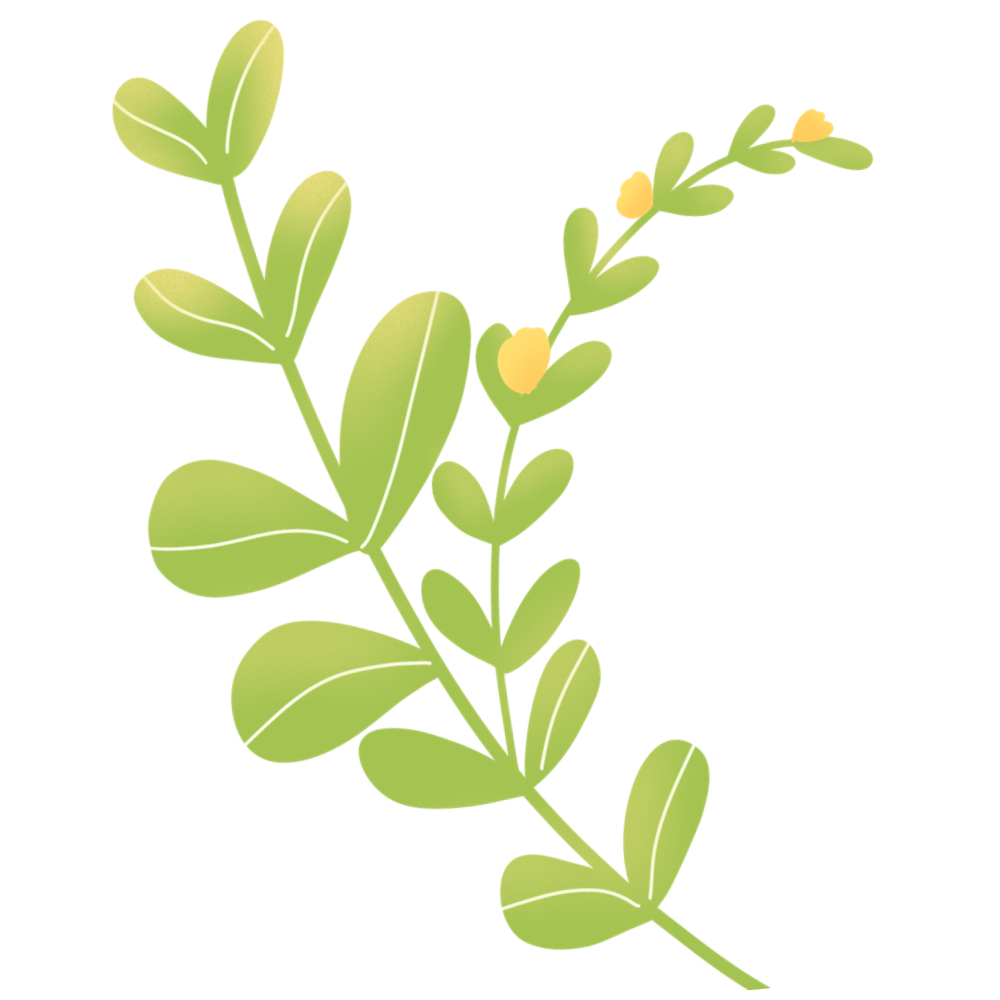 五月模板 手绘文艺清新五月你好模板 样式模板素材 提子科技北京有限公司