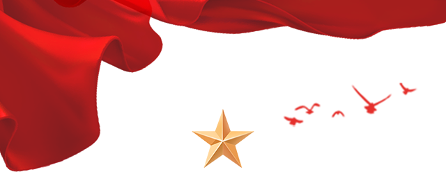 郑州市金融学校分支部深入学习河南省第十一次党代会精神