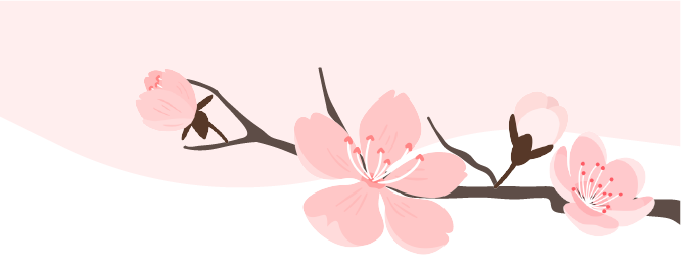 粉色樱花季节 春天春分 樱花插画模板 样式模板素材 135平台
