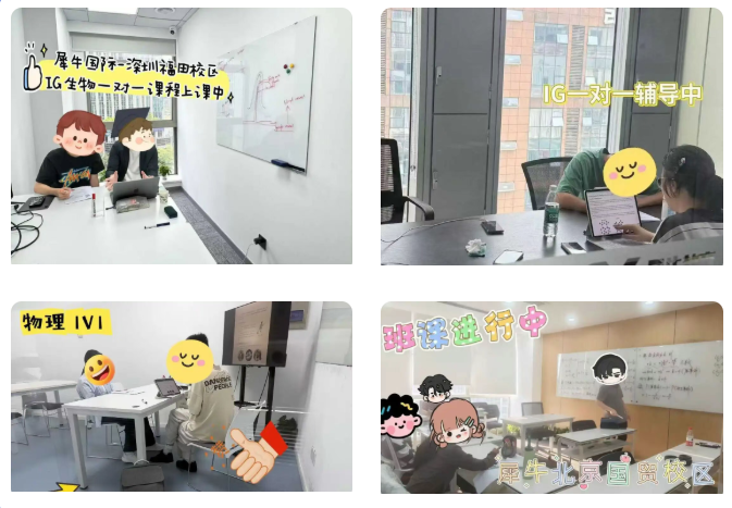 c3443b58d9f22b953e4bdded5bfbf1f7.png