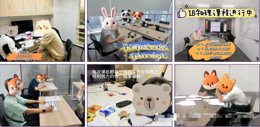 da49bed180e64f6b8b361add85d312aa.png