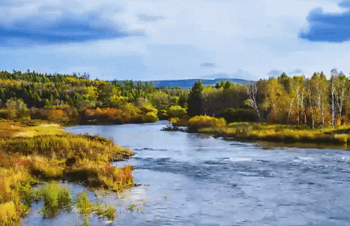 495_320gif 动态图 动图