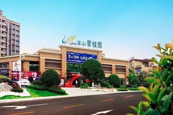 礼献京山成功人士240-260㎡(建筑面积)双拼美墅京山碧桂园家电直接搬